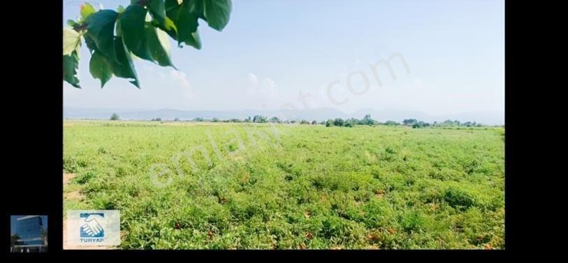Manisa Turgutlu İzzettin Köyünde 4950m2 Satılık Arazi — fotoğraf 5