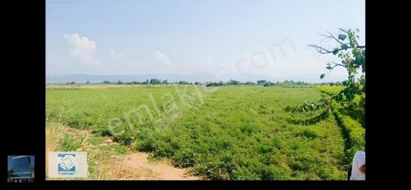 Manisa Turgutlu İzzettin Köyünde 4950m2 Satılık Arazi — fotoğraf 6