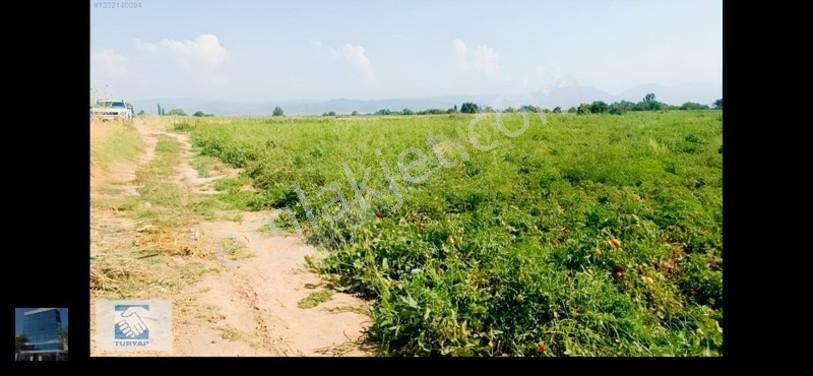 Manisa Turgutlu İzzettin Köyünde 4950m2 Satılık Arazi — fotoğraf 7