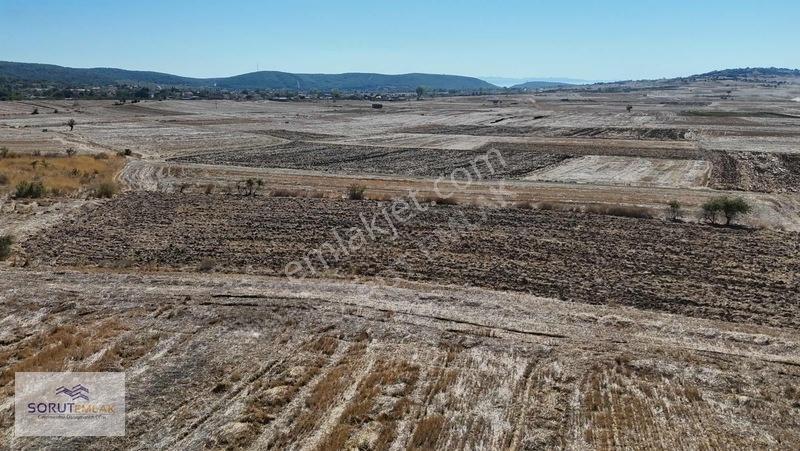 Mecidiye Köyünde Barajın Hemen Yanında Satılık 3.264 M2 Tarla — fotoğraf 4