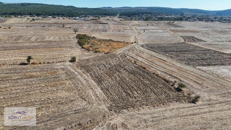 Mecidiye Köyünde Barajın Hemen Yanında Satılık 3.264 M2 Tarla — fotoğraf 17