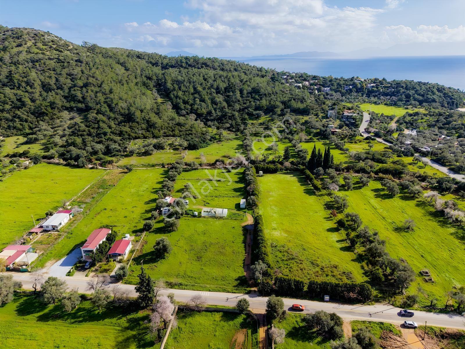 Yalıçiftlikte Denize 400 M | 1.670 M² , %40 Emsalli Arsa — fotoğraf 3
