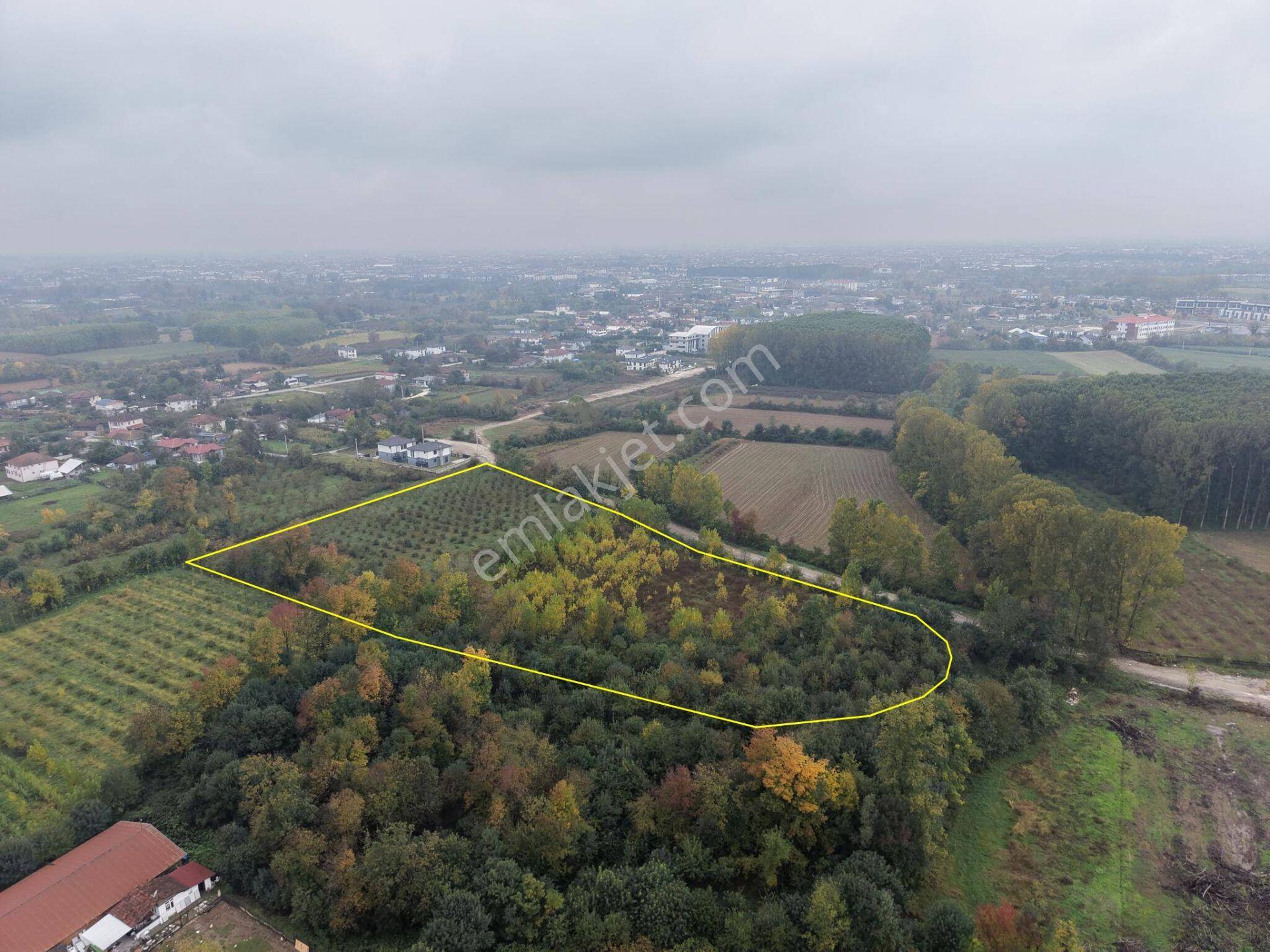 Yukarı Yahyalar Mahallesi'nde 5080 M2 Satılık Arazi — fotoğraf 3
