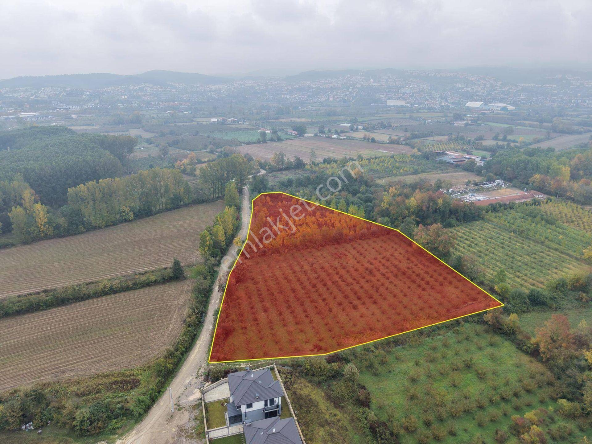 Yukarı Yahyalar Mahallesi'nde 5080 M2 Satılık Arazi — fotoğraf 4