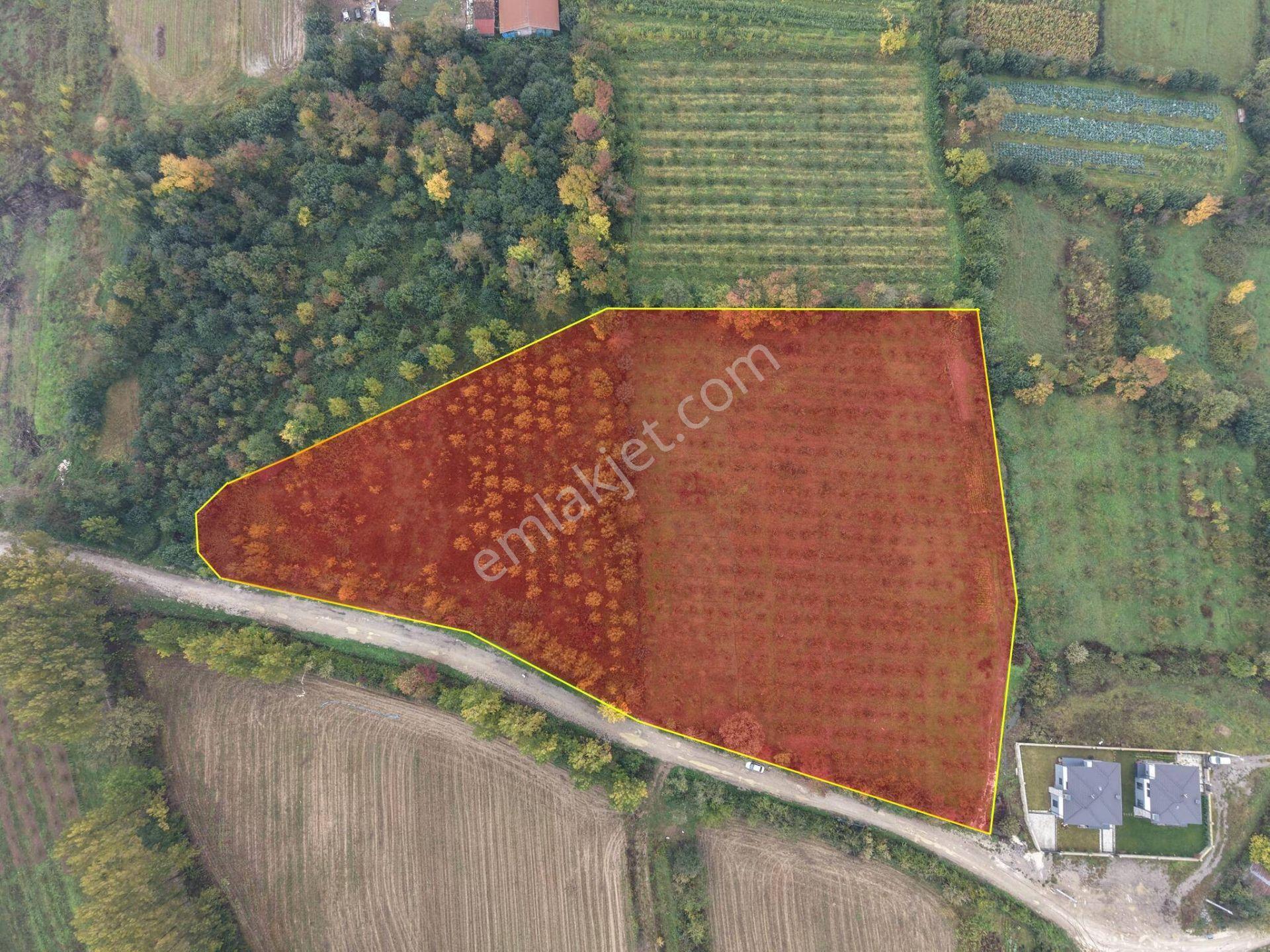 Yukarı Yahyalar Mahallesi'nde 5080 M2 Satılık Arazi — fotoğraf 6