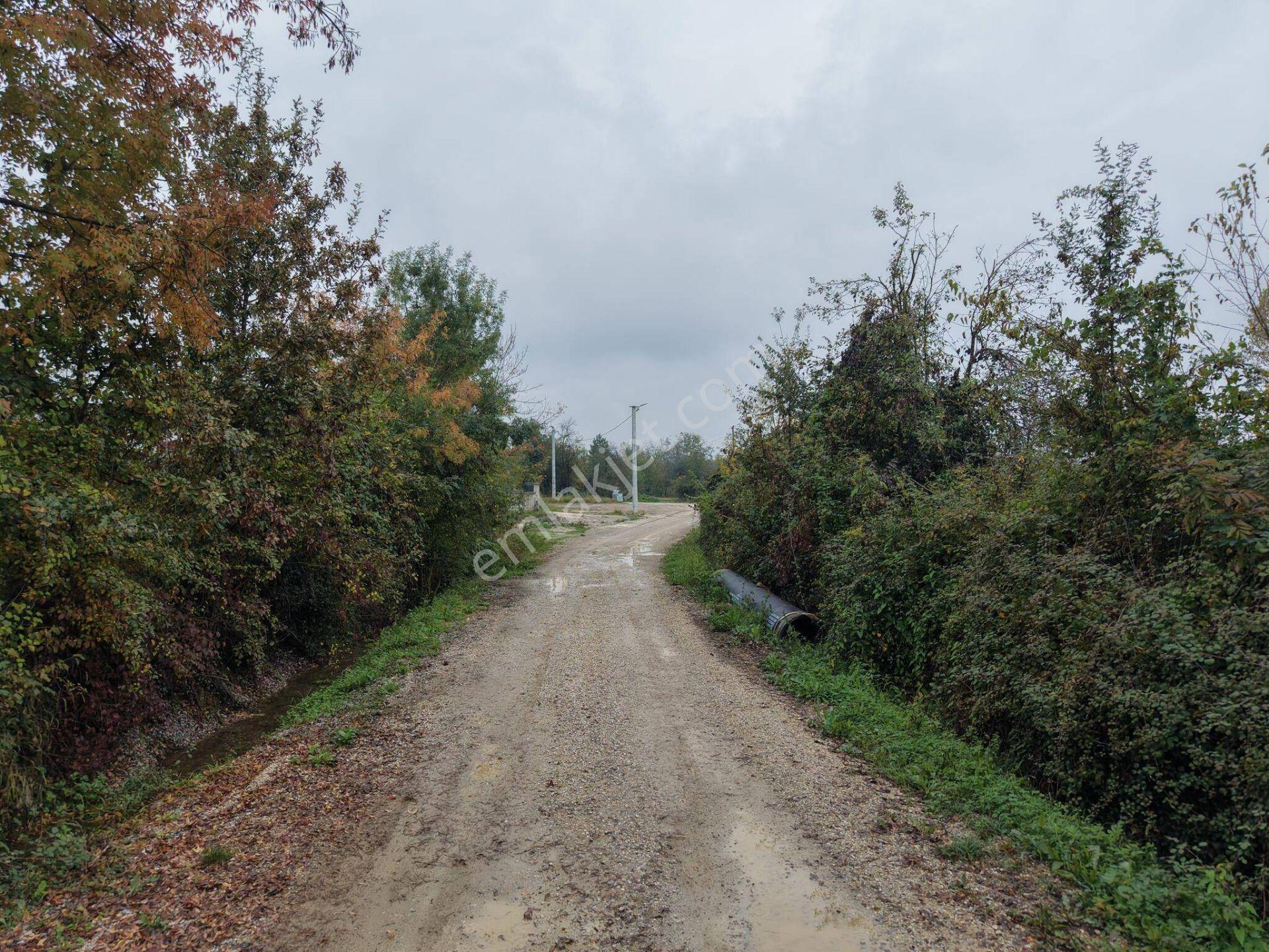 Yukarı Yahyalar Mahallesi'nde 5080 M2 Satılık Arazi — fotoğraf 10