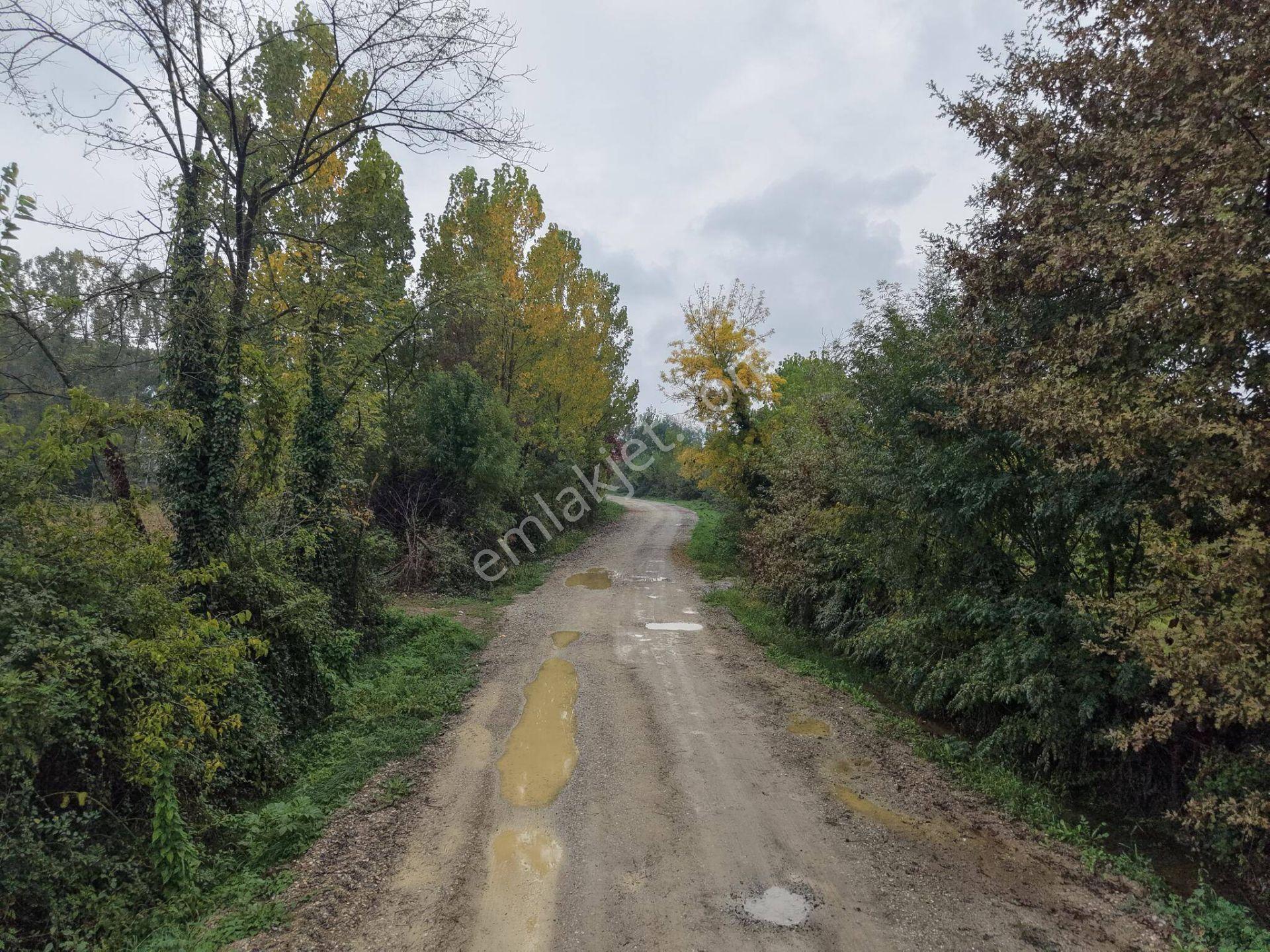 Yukarı Yahyalar Mahallesi'nde 5080 M2 Satılık Arazi — fotoğraf 11
