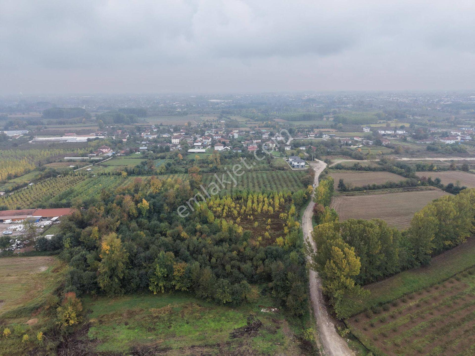 Yukarı Yahyalar Mahallesi'nde 5080 M2 Satılık Arazi — fotoğraf 13