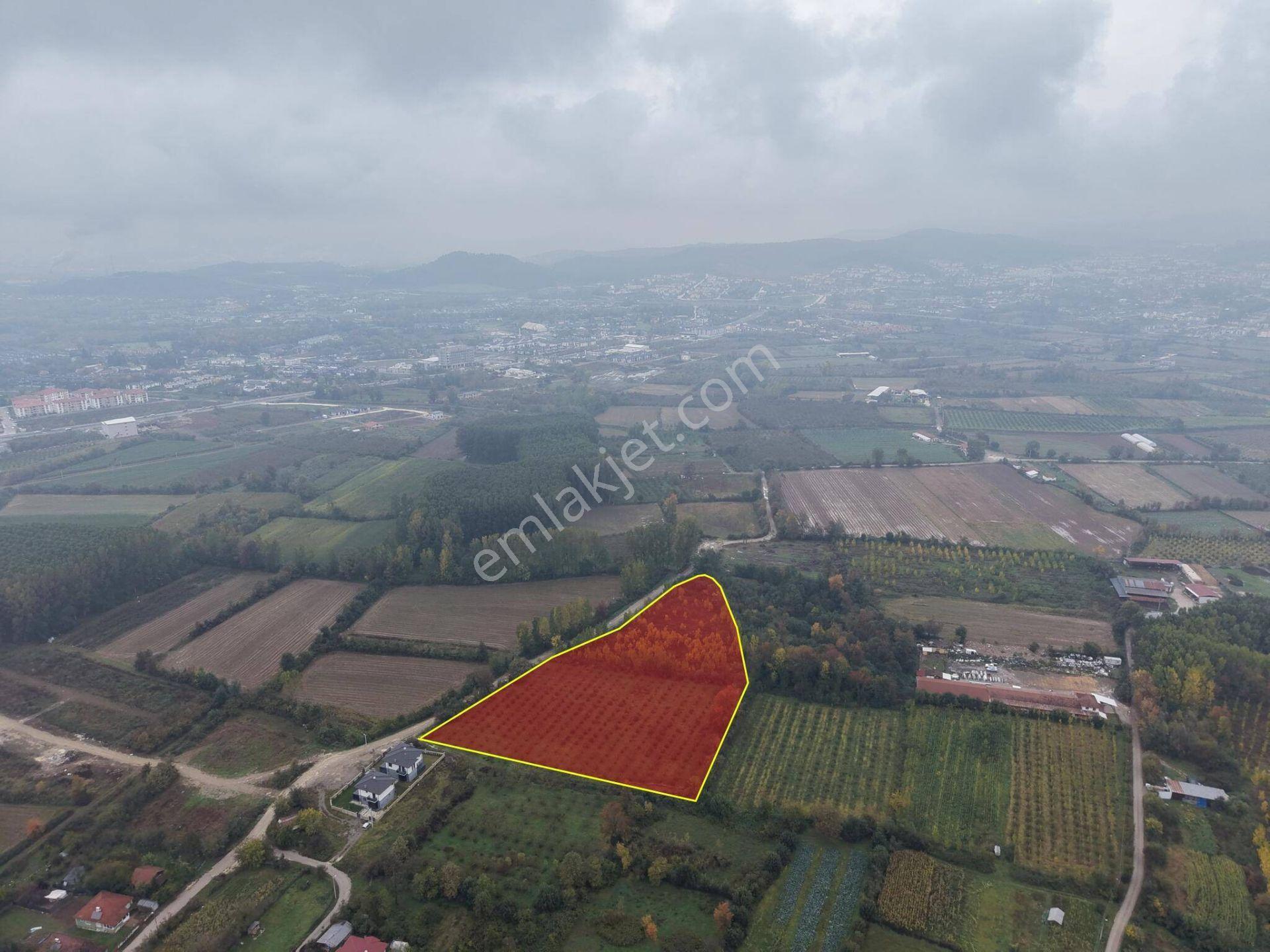 Yukarı Yahyalar Mahallesi'nde 5080 M2 Satılık Arazi — fotoğraf 14