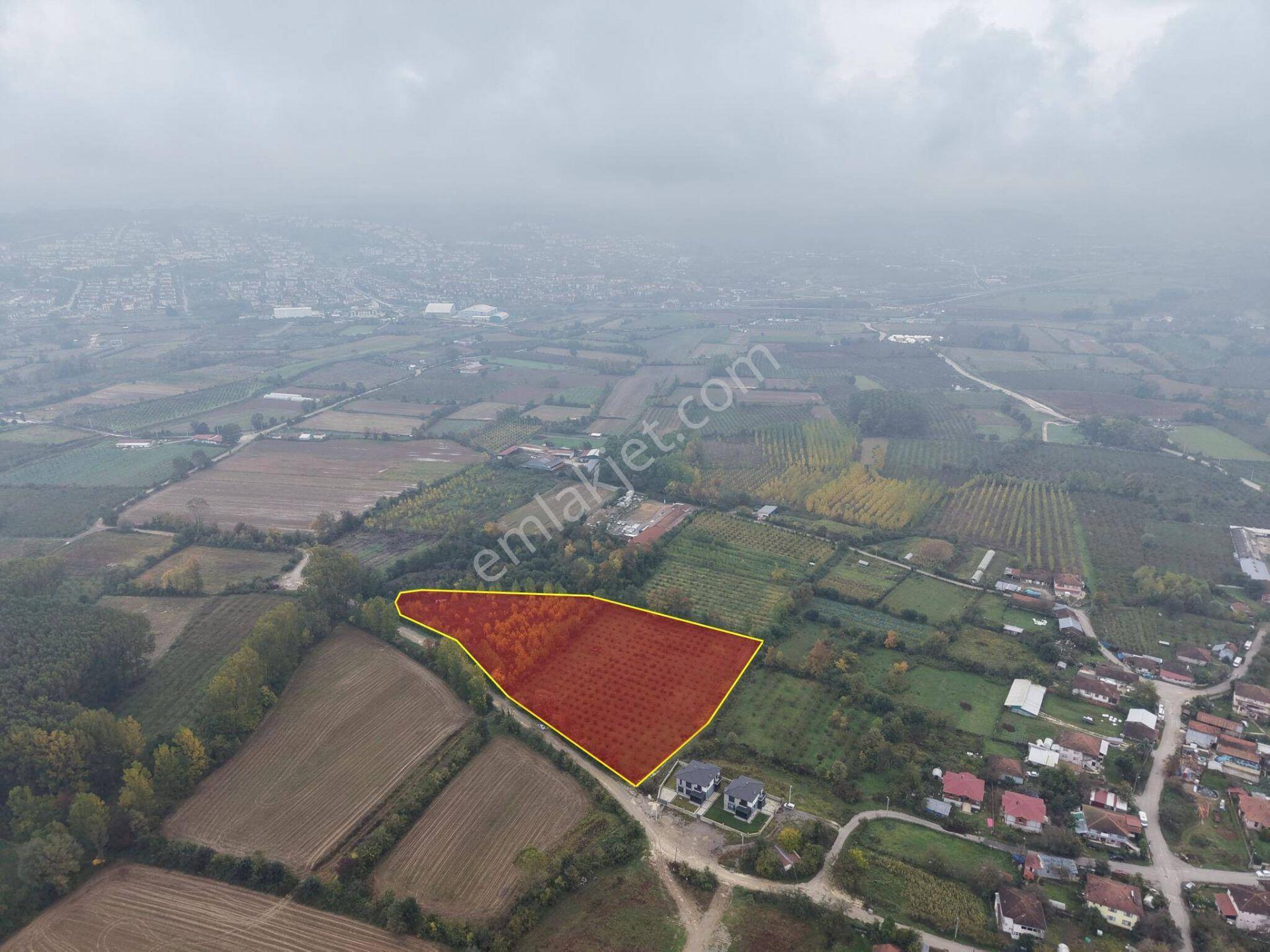Yukarı Yahyalar Mahallesi'nde 5080 M2 Satılık Arazi — fotoğraf 15