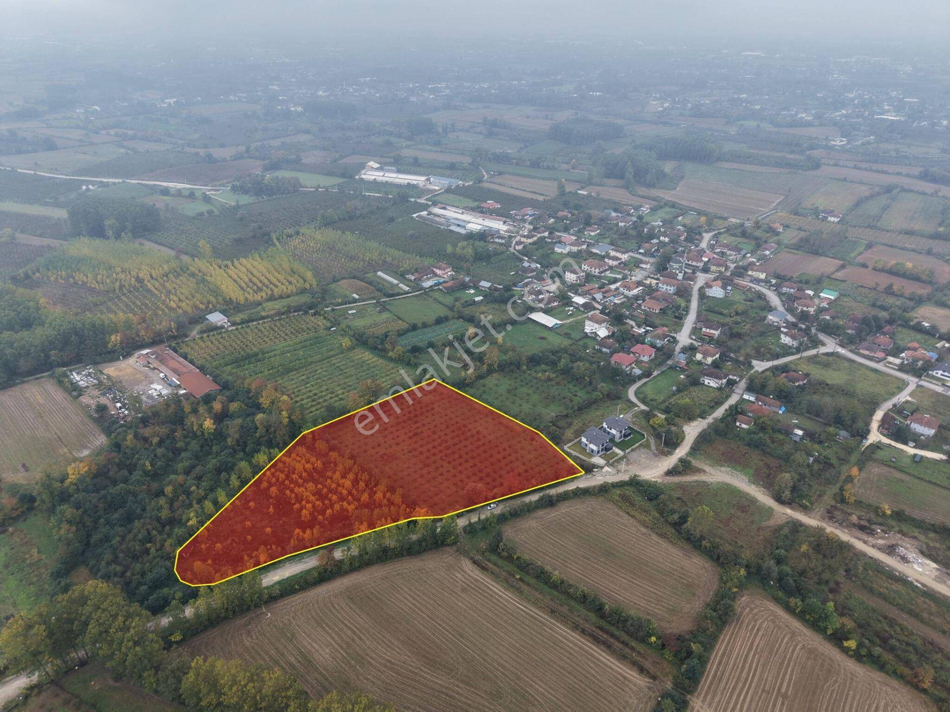 Yukarı Yahyalar Mahallesi'nde 5080 M2 Satılık Arazi — fotoğraf 16