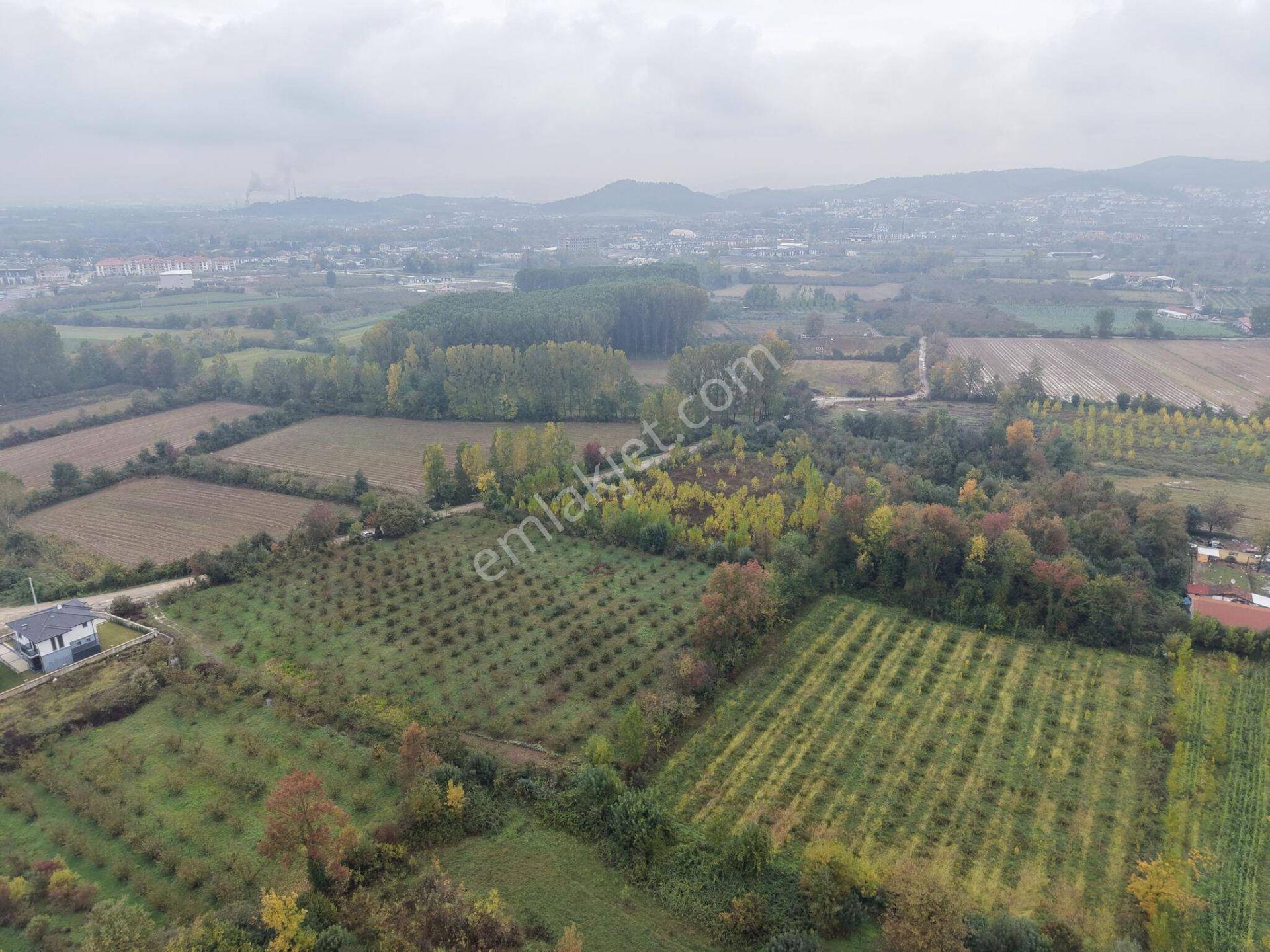 Yukarı Yahyalar Mahallesi'nde 5080 M2 Satılık Arazi — fotoğraf 17