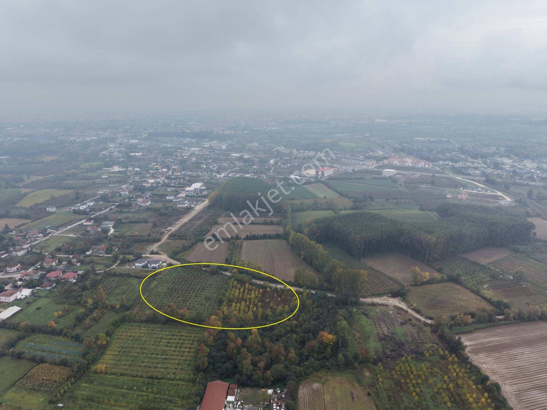 Yukarı Yahyalar Mahallesi'nde 5080 M2 Satılık Arazi — fotoğraf 18