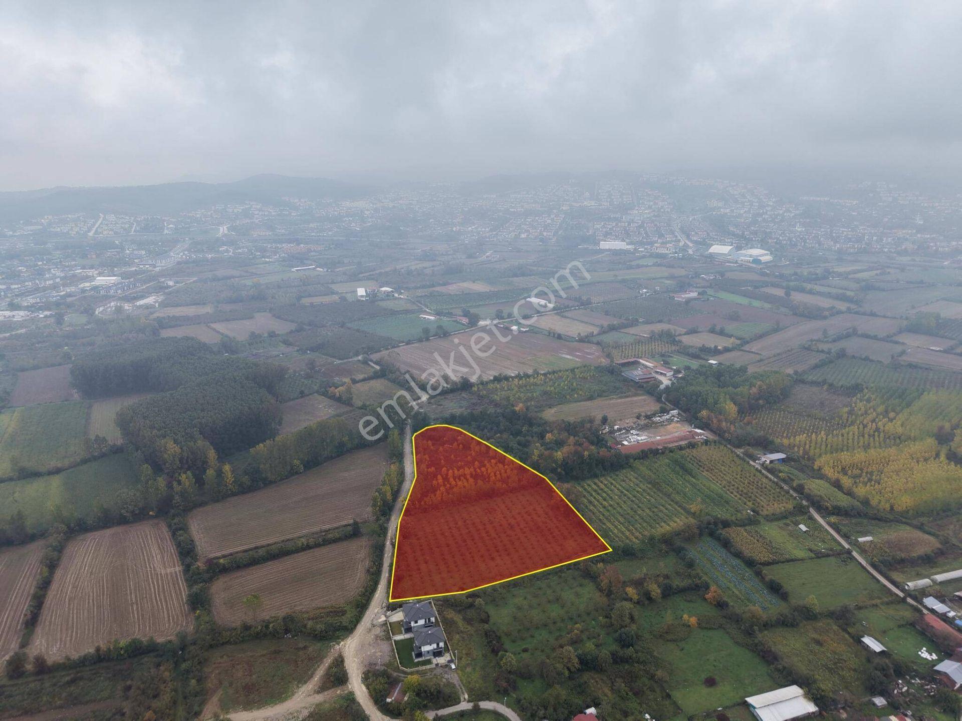 Yukarı Yahyalar Mahallesi'nde 5080 M2 Satılık Arazi — fotoğraf 19