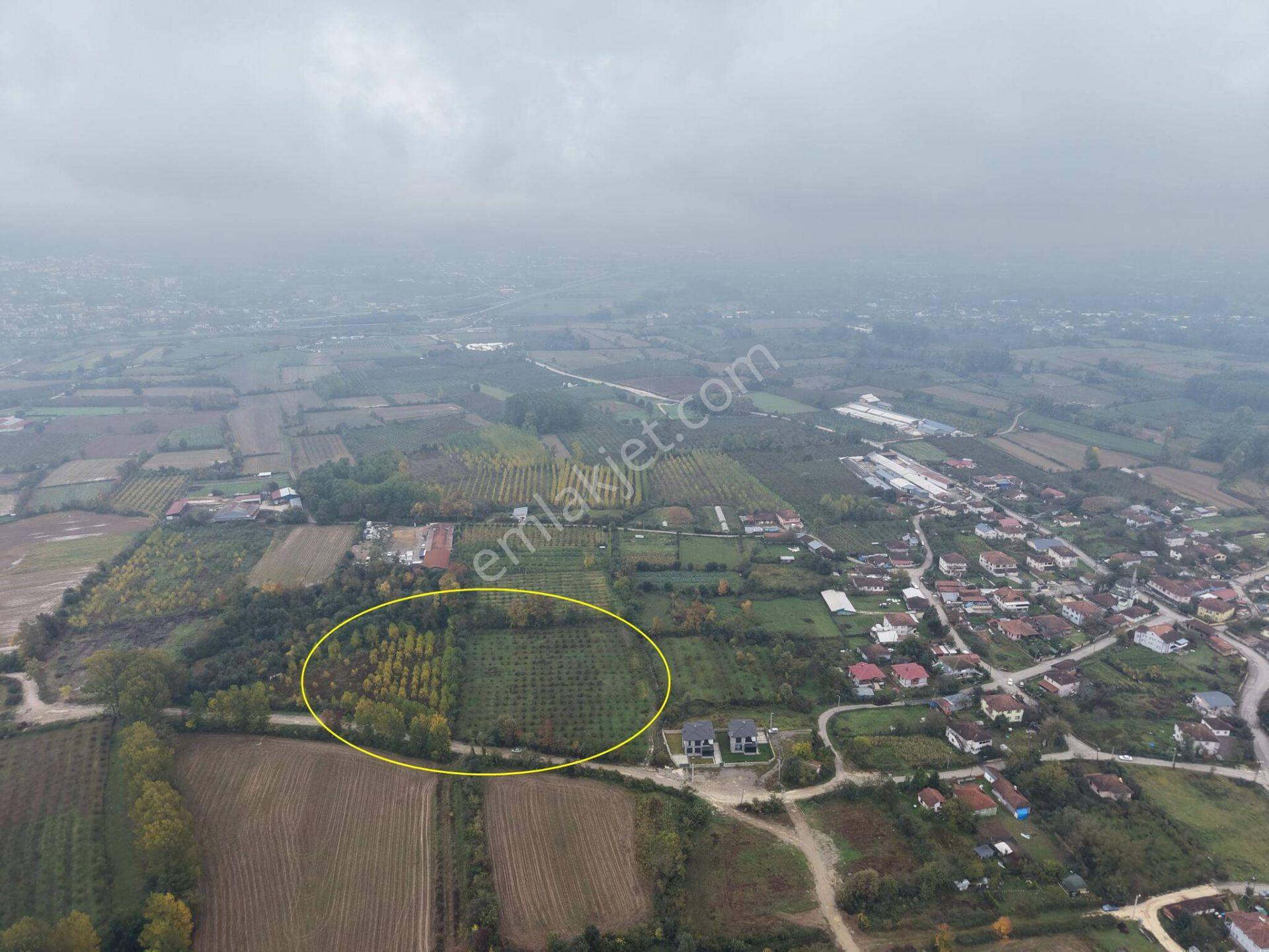 Yukarı Yahyalar Mahallesi'nde 5080 M2 Satılık Arazi — fotoğraf 20
