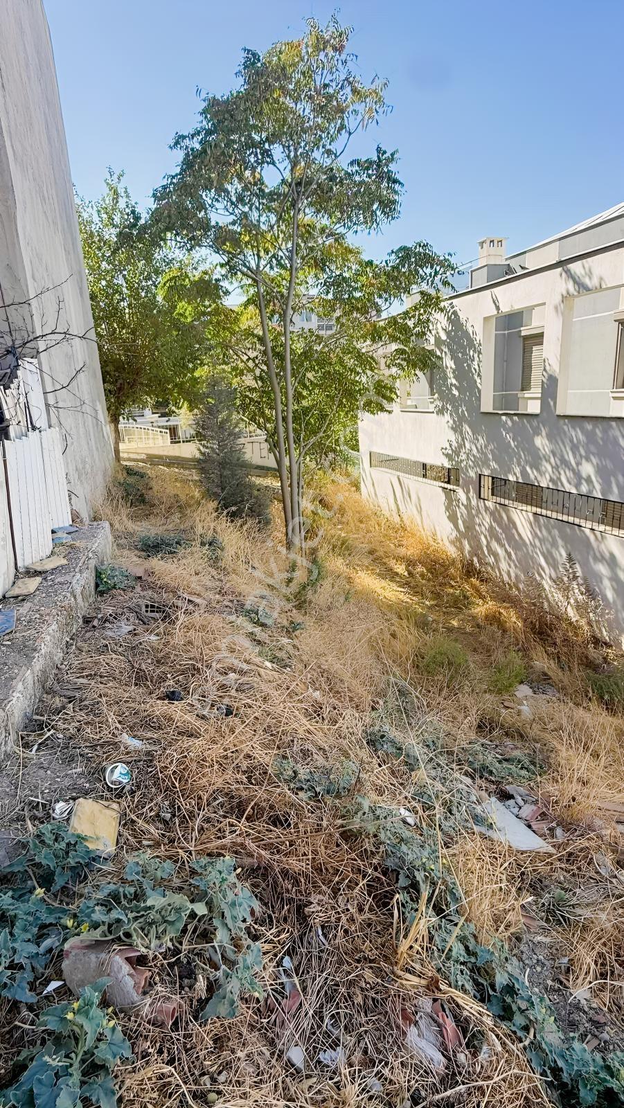 Uca'da 159 M² Konut İmarlı, Yatırım Değeri Yüksek Fırsat Arsa — fotoğraf 2