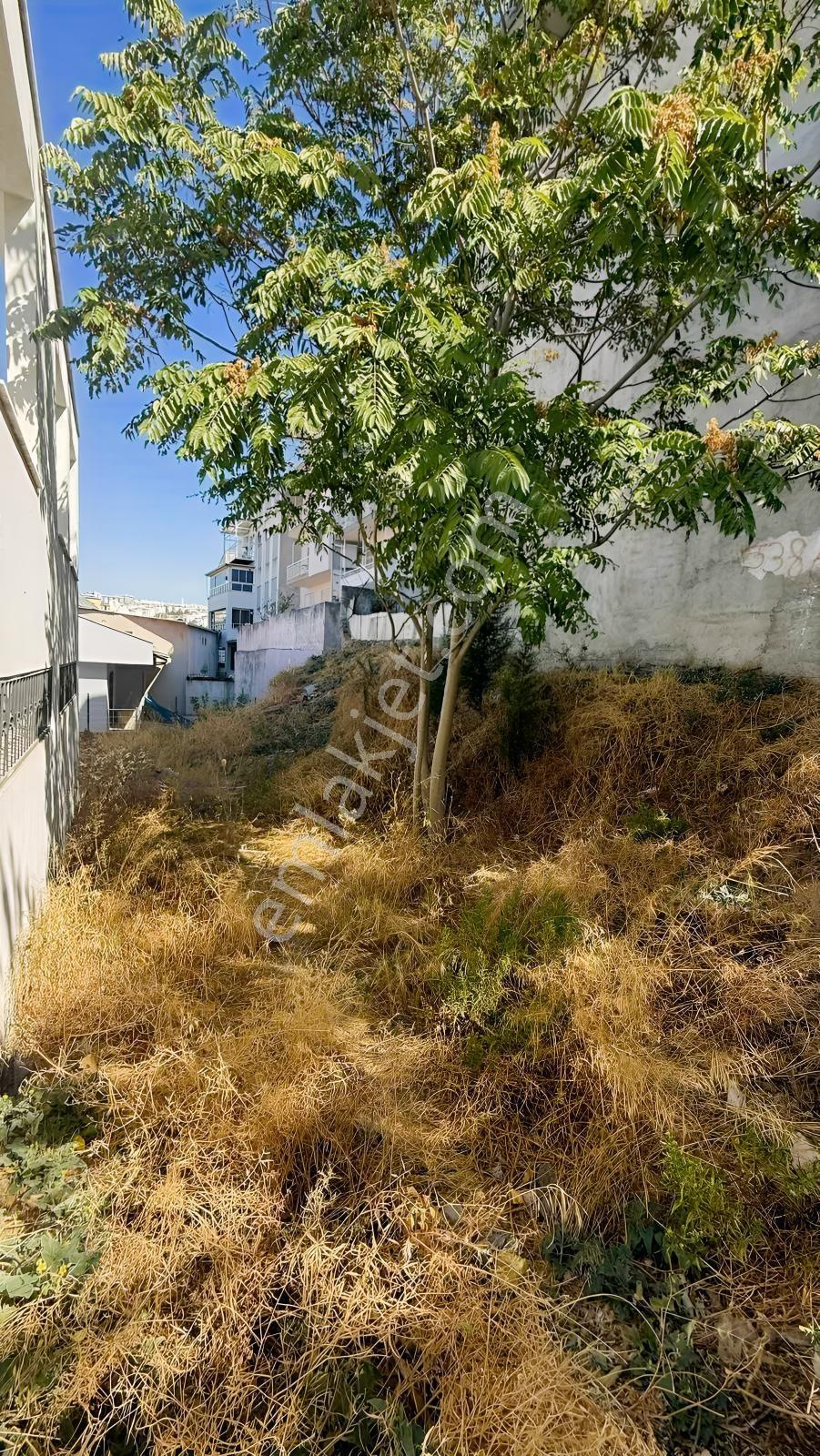 Uca'da 159 M² Konut İmarlı, Yatırım Değeri Yüksek Fırsat Arsa — fotoğraf 8