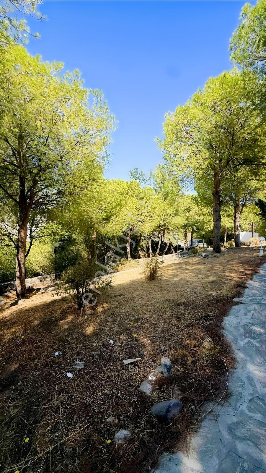 Uca'da 159 M² Konut İmarlı, Yatırım Değeri Yüksek Fırsat Arsa — fotoğraf 12