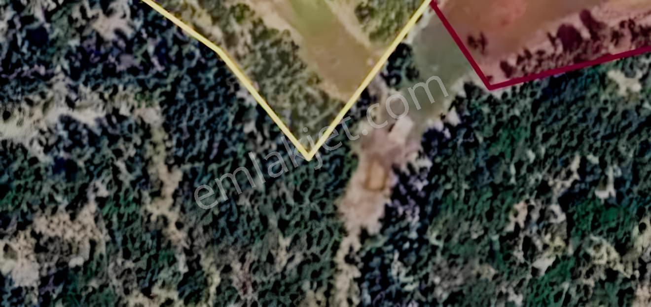 Fethiye Karaağaç Ta 9850 M2 Satılık Tarla