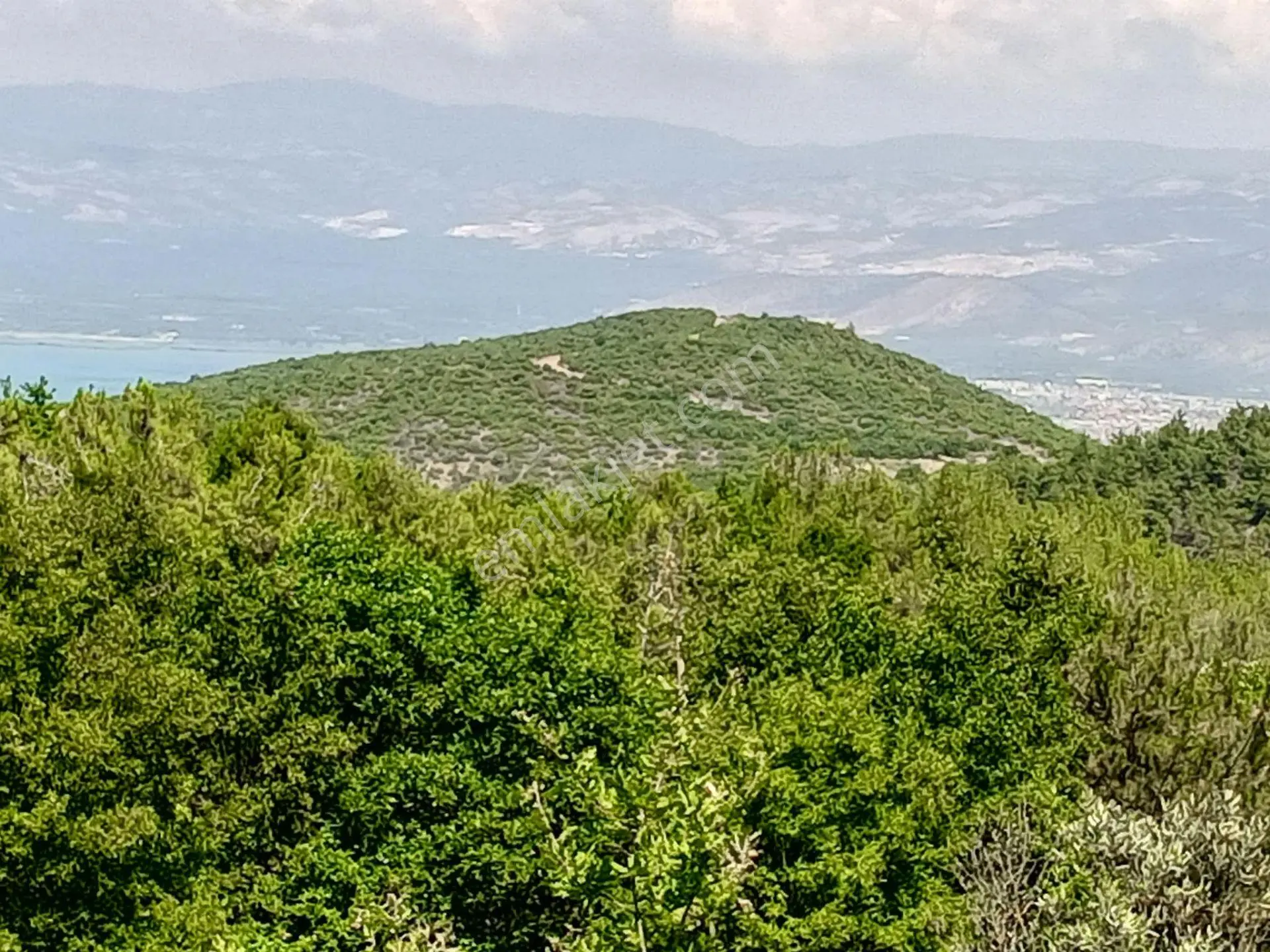Yenişehir Mecidiyeköy De Göl Manzaralı 4926,M2-Bahçe