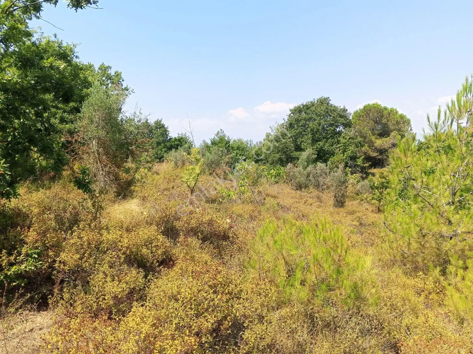 Yenişehir Mecidiyeköy De Göl Manzaralı 4926,m2-bahçe — fotoğraf 2