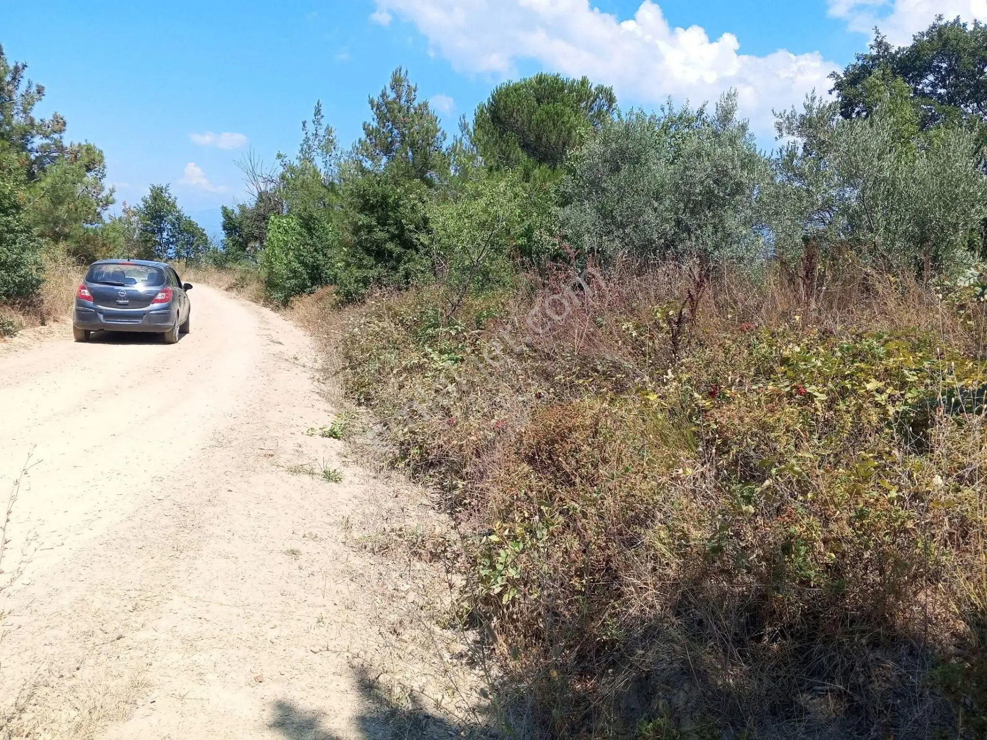 Yenişehir Mecidiyeköy De Göl Manzaralı 4926,m2-bahçe — fotoğraf 3