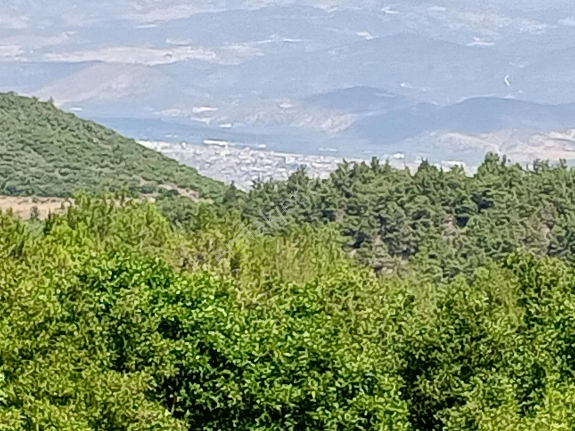 Yenişehir Mecidiyeköy De Göl Manzaralı 4926,m2-bahçe — fotoğraf 7
