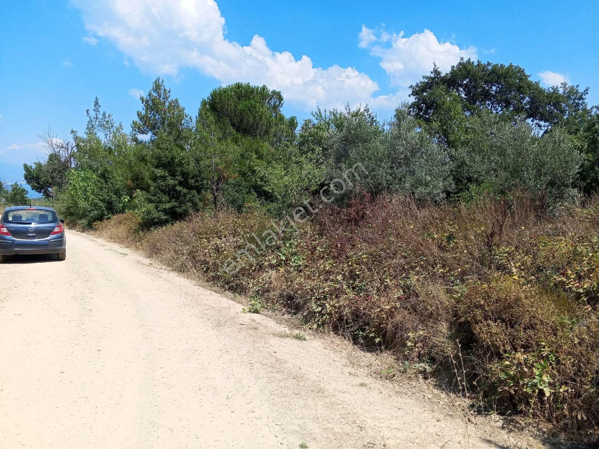 Yenişehir Mecidiyeköy De Göl Manzaralı 4926,m2-bahçe — fotoğraf 11