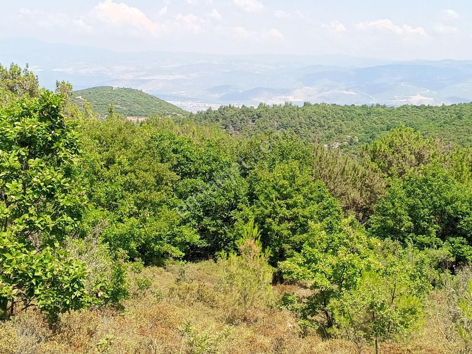 Yenişehir Mecidiyeköy De Göl Manzaralı 4926,m2-bahçe — fotoğraf 13