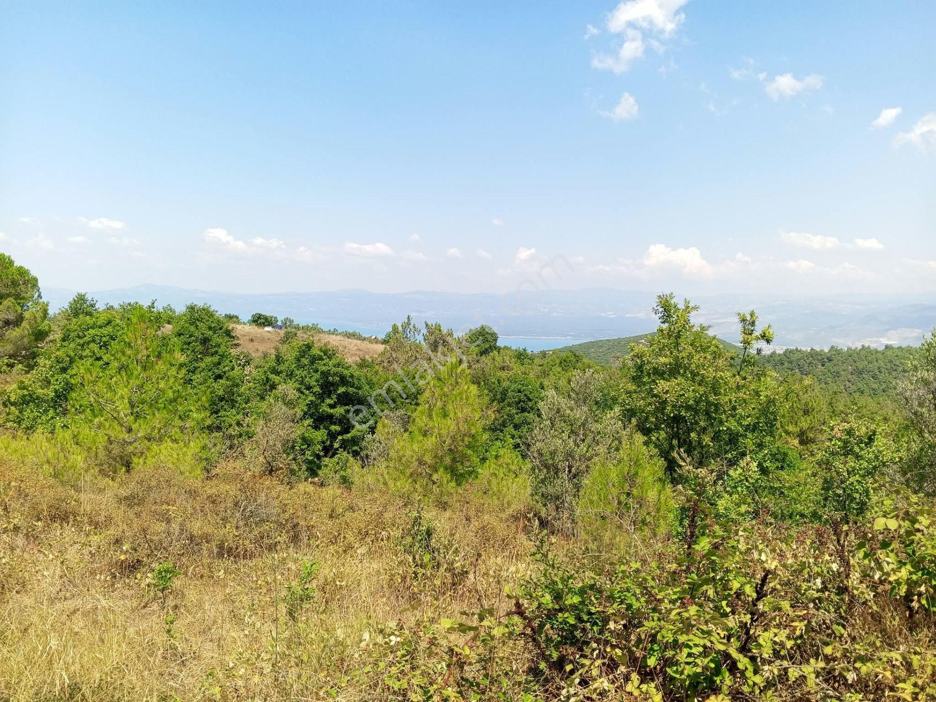 Yenişehir Mecidiyeköy De Göl Manzaralı 4926,m2-bahçe — fotoğraf 20
