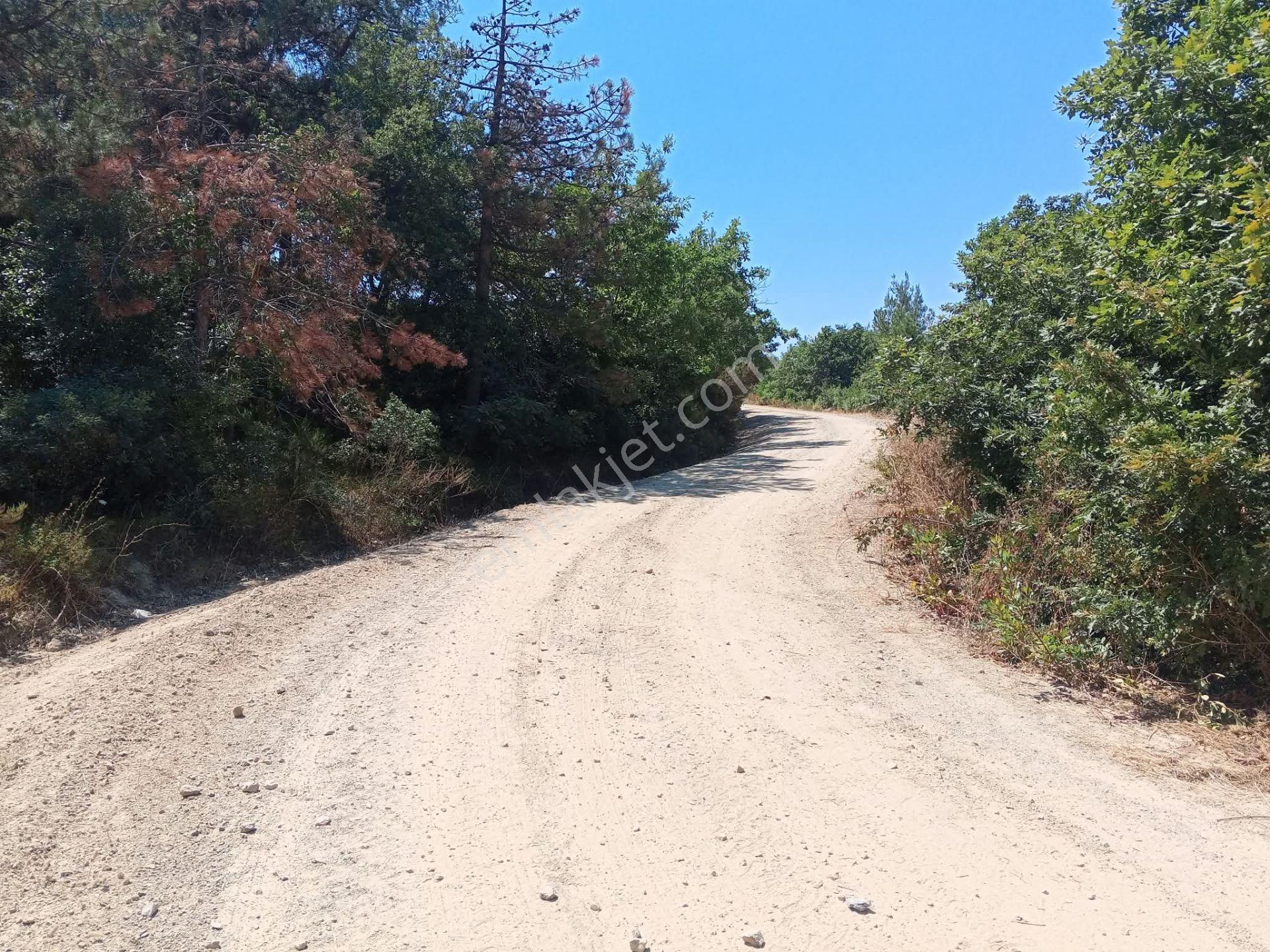 Yenişehir Mecidiyeköy De Göl Manzaralı 4926,m2-bahçe — fotoğraf 21