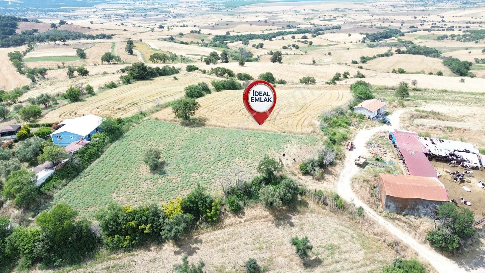 Çanakkale Merkez Kemelde Full Boğaz Manzaralı, 10.458 M2 Arazi — fotoğraf 21