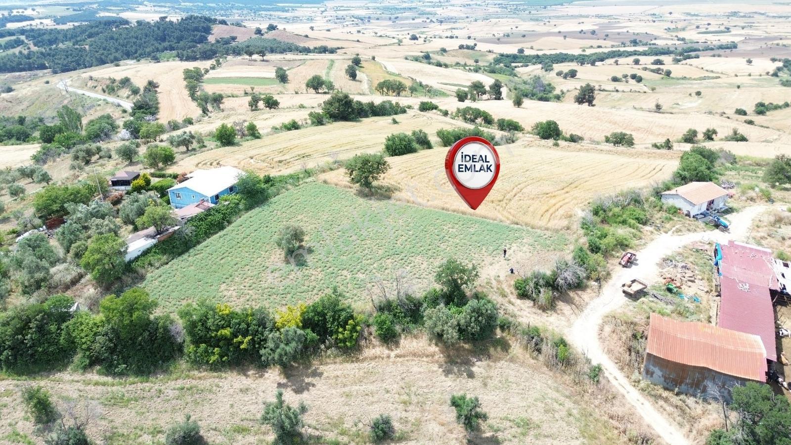 Çanakkale Merkez Kemelde Full Boğaz Manzaralı, 10.458 M2 Arazi — fotoğraf 22
