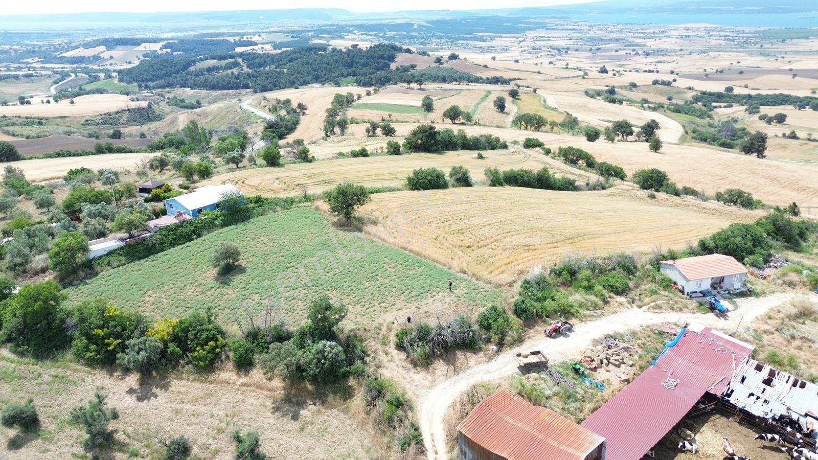 Çanakkale Merkez Kemelde Full Boğaz Manzaralı, 10.458 M2 Arazi — fotoğraf 33