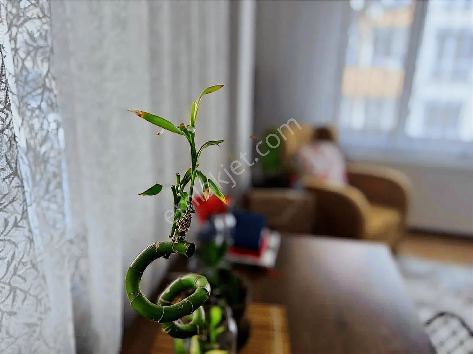 Tamamına Kredili+eminevm Uyg+33.000 Kiracılı+araç Takas+mülkiyet — fotoğraf 22