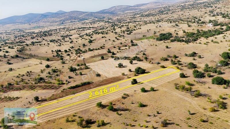 2.616 M² Müstakil Tarla! Çift Yola Cephe, Resmî Kadastro Yolu Va — fotoğraf 2