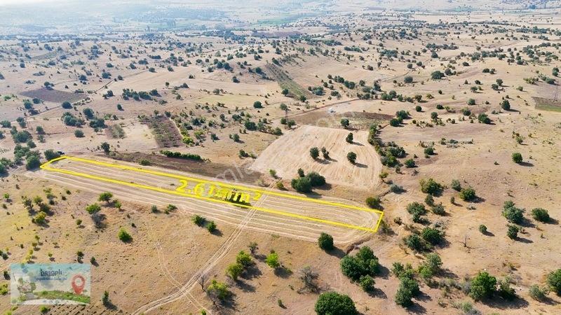 2.616 M² Müstakil Tarla! Çift Yola Cephe, Resmî Kadastro Yolu Va — fotoğraf 3