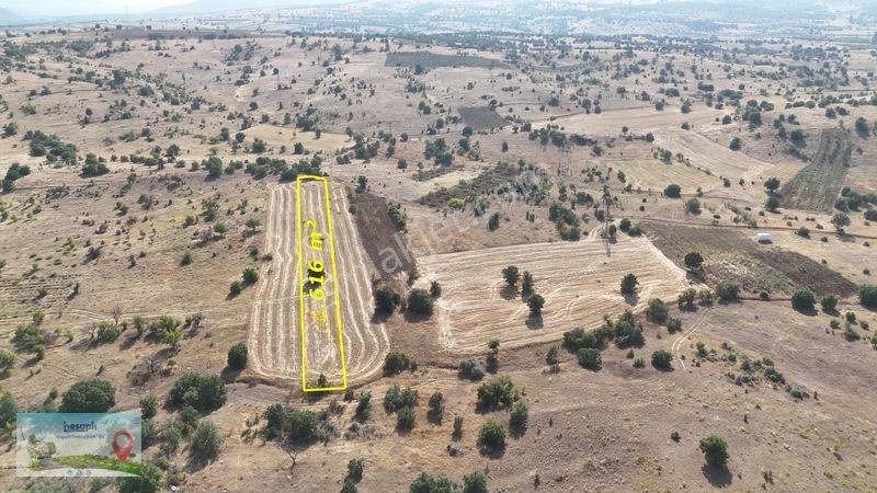 2.616 M² Müstakil Tarla! Çift Yola Cephe, Resmî Kadastro Yolu Va — fotoğraf 4