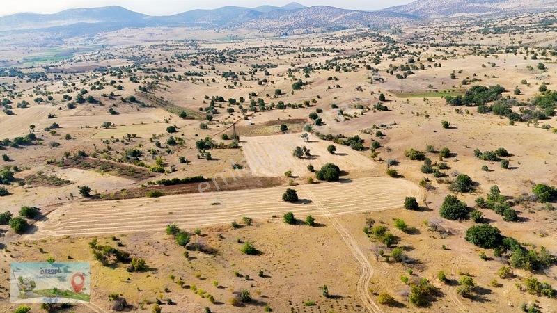 2.616 M² Müstakil Tarla! Çift Yola Cephe, Resmî Kadastro Yolu Va — fotoğraf 5
