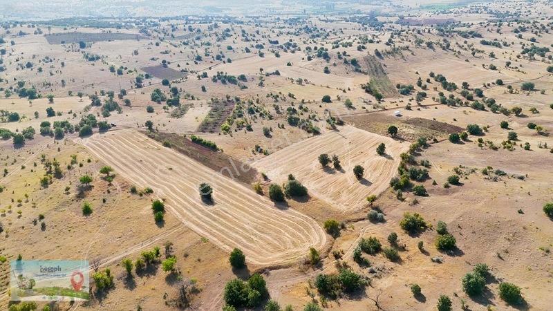 2.616 M² Müstakil Tarla! Çift Yola Cephe, Resmî Kadastro Yolu Va — fotoğraf 6