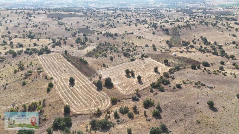 2.616 M² Müstakil Tarla! Çift Yola Cephe, Resmî Kadastro Yolu Va — fotoğraf 7