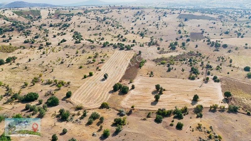 2.616 M² Müstakil Tarla! Çift Yola Cephe, Resmî Kadastro Yolu Va — fotoğraf 8