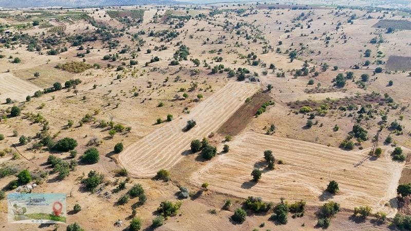 2.616 M² Müstakil Tarla! Çift Yola Cephe, Resmî Kadastro Yolu Va — fotoğraf 9