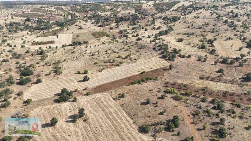 2.616 M² Müstakil Tarla! Çift Yola Cephe, Resmî Kadastro Yolu Va — fotoğraf 10