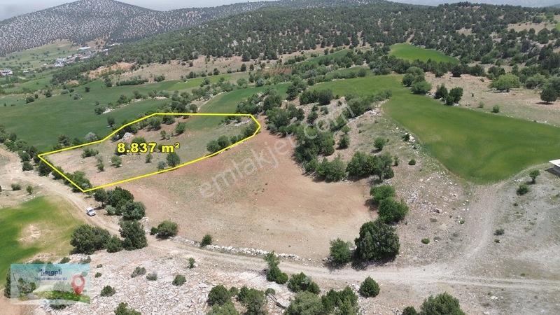9 Dönüme Yakın Müstakil Tarla! Resmî Kadastro Yolu Var! — fotoğraf 2