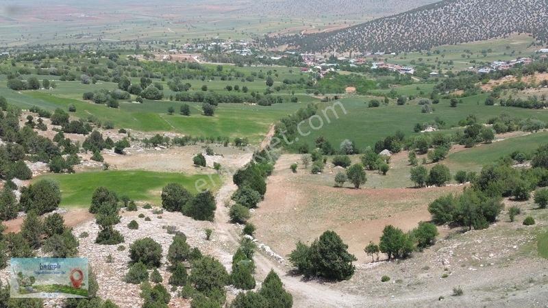 9 Dönüme Yakın Müstakil Tarla! Resmî Kadastro Yolu Var! — fotoğraf 5