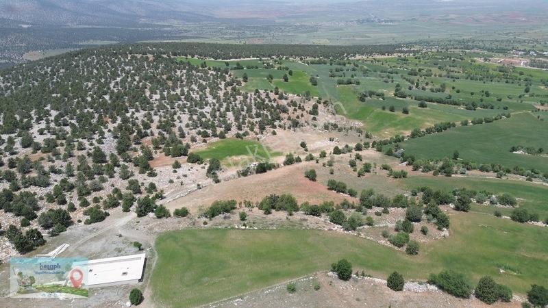 9 Dönüme Yakın Müstakil Tarla! Resmî Kadastro Yolu Var! — fotoğraf 7