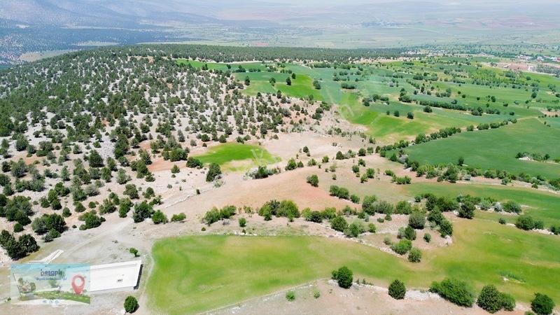 9 Dönüme Yakın Müstakil Tarla! Resmî Kadastro Yolu Var! — fotoğraf 8