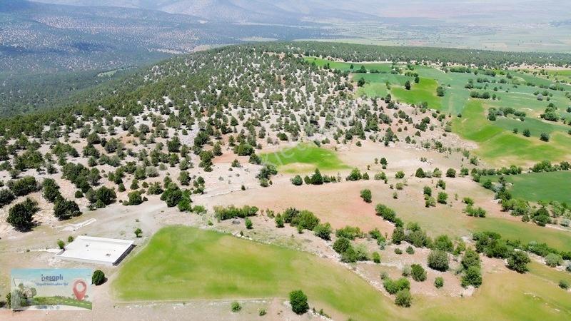 9 Dönüme Yakın Müstakil Tarla! Resmî Kadastro Yolu Var! — fotoğraf 9