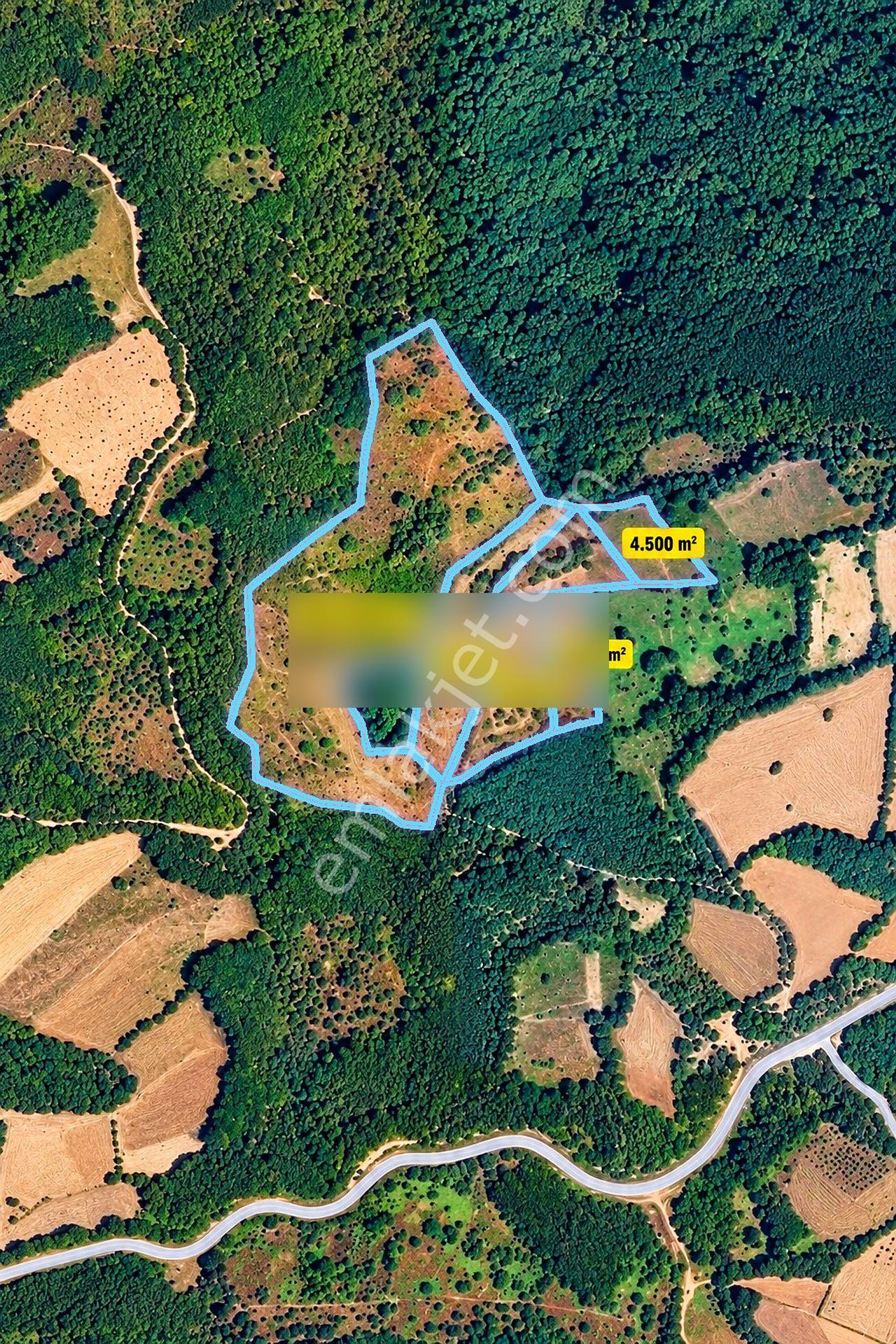 Çanakkale Yenice Taban Mahallesin'de Satılık 85.250 M² Tarla — fotoğraf 6